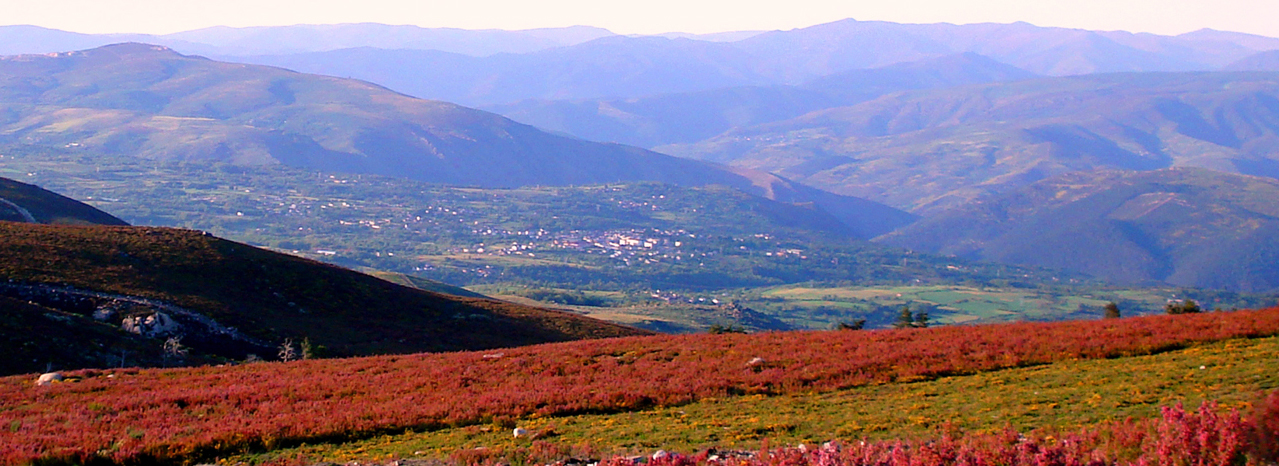 mapa-de-inmuebles-propiedades-georreferenciado-movil